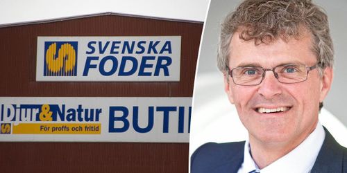 ”Vi ser positivt på hela kommande året”