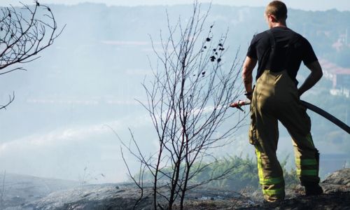 Risk för bränder – så skyddar du din skog