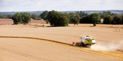 Så stor blev spannmålsskörden 2020