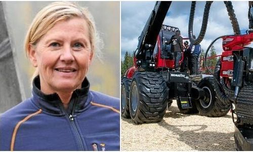 Skogsnolia laddar på ny plats