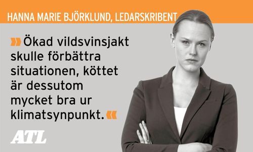 Mycket att vinna på ökad vildsvinsjakt