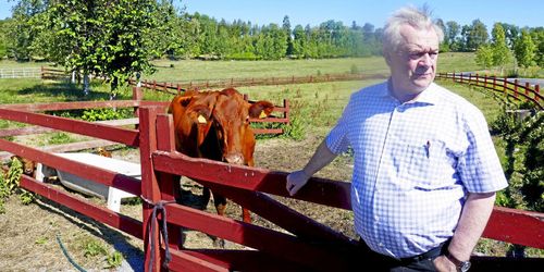 Nya regler ska få fart på handel med vildsvinskött