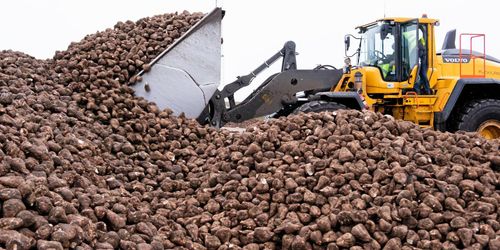 Kampen om sydsvenska odlare hårdnar