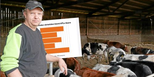 Började sälja själv - när köerna var långa