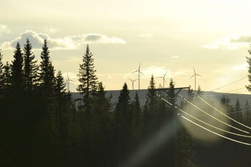 Siffror som gör vindkraft till vinnkraft