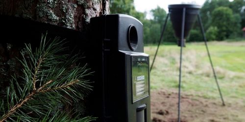 Letade efter kalv med åtelkamera – tvingas böta