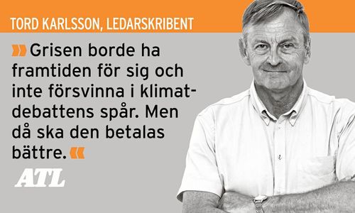 Klokt att inte lita för mycket på Kina