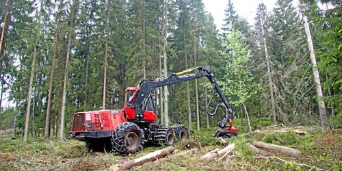 Intresset att avverka sjunker