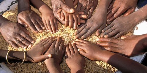 Alla länder borde få rätt att skydda lokalt jordbruk