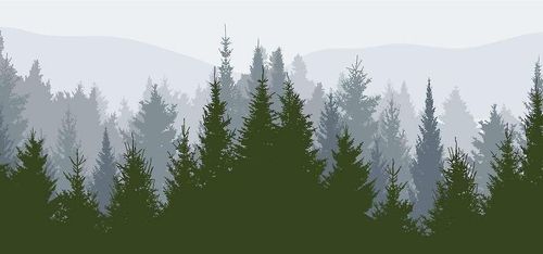 Ohållbart att inte bruka skogen