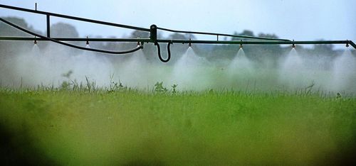 Glyfosatbeslut kan försenas