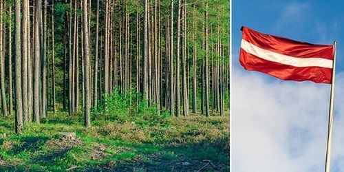 ”Ingen har frågat om jag vill satsa 65 000 på markköp”