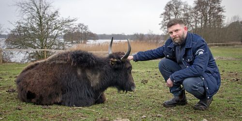 ATL TV: Magert kött från pälsiga bergsdjur