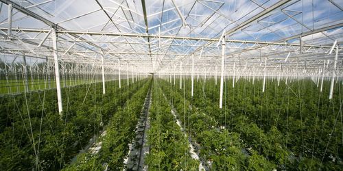 Ekoförordningen skjuts fram