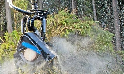 Här minskar avverkningarna mest