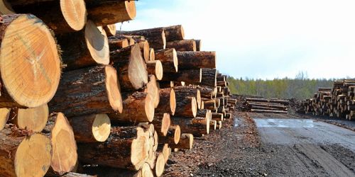 Terminshandel med rundvirke lockar få