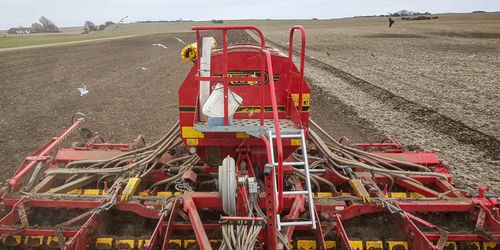 Här sås vårens durumvete – på Ven