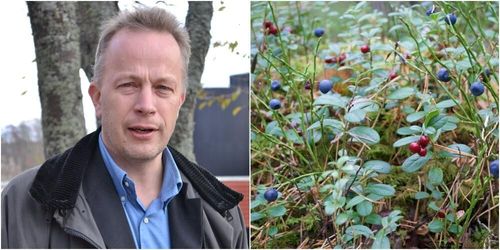 Var rädd om riset och minska betesskadorna