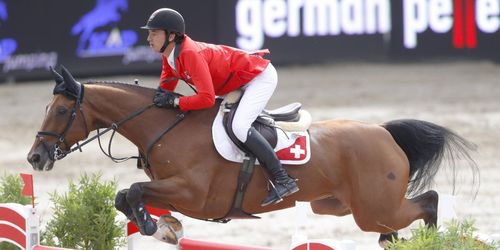 ”Superembryo” sålt för 270 000 kronor