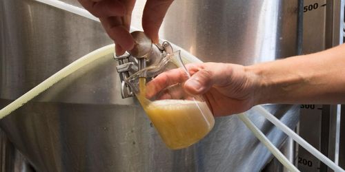 Mikrobryggerierna blöder – tillåt direktförsäljning