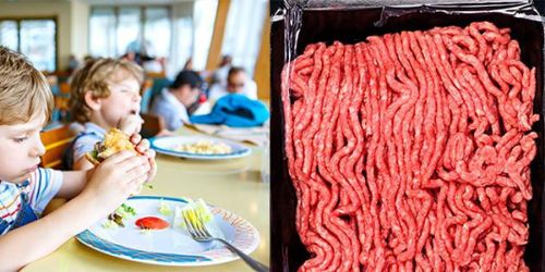 Förskola inför totalt köttförbud