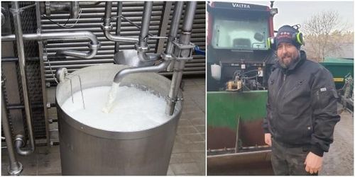 Halkan tvingade bönder hälla ut mjölken