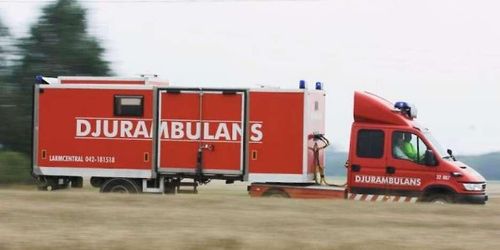 Djurambulansen vinnare i halländsk upphandling