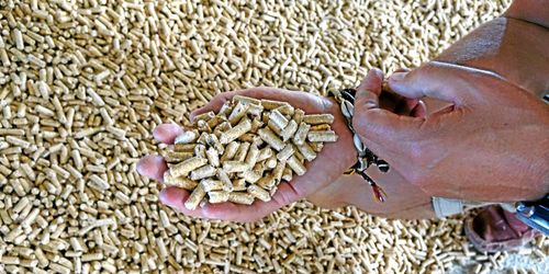 Svebio startar digital börs för biobränslen