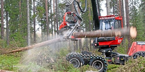 ”Det handlar om lokala bedömningar”