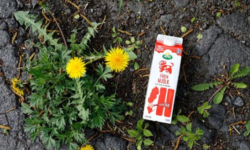 Arlas kvalitetsprogram är helt nödvändigt