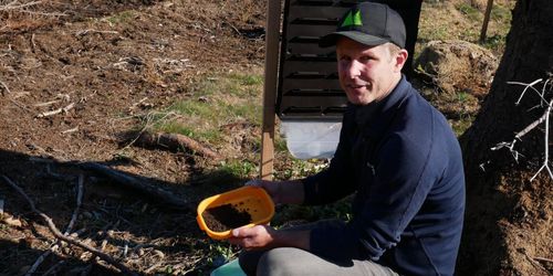 Fångsten: 4 300 barkborrar