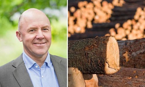 ”Skogsstyrelsen borde rätta mun efter matsäck”