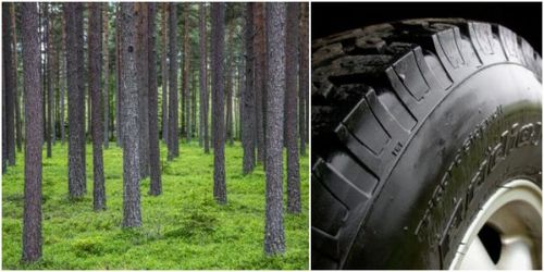 Forskare omvandlar grönt guld till svart kimrök