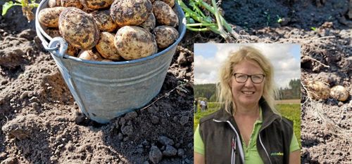 Kampanjpris eller ej - det sänder fel signal