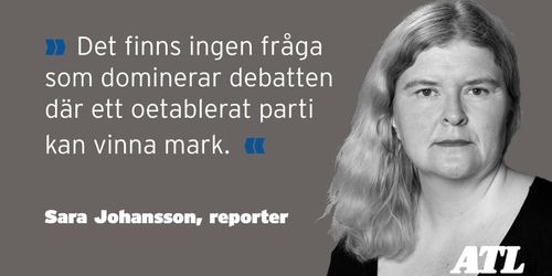 Många gröna i nästa EU-parlament