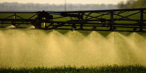 Het debatt om glyfosat på LRF-stämman