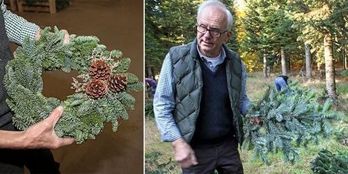 Satsning på gravpynt ger rusch i granskogen