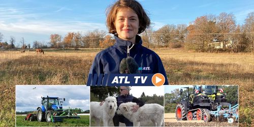 ATL TV: Hundar skyddar mot rovdjur