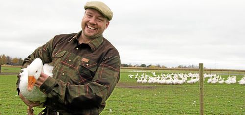 Bråda tider för gåsimperiet