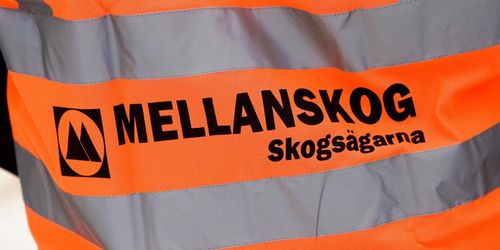 Polisinsats på Mellanskog efter kuvert med vitt pulver
