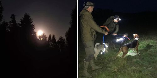 Häng med på grävlingsjakt i natten