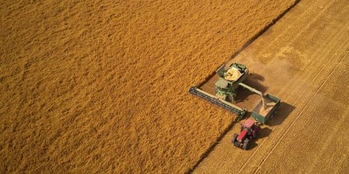Hälften av spannmålen bärgad i söder