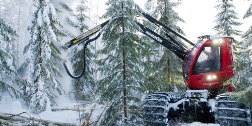 Djupdykning i heta skogsfrågor