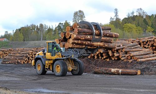 Fler skogsbolag bromsar i coronans spår