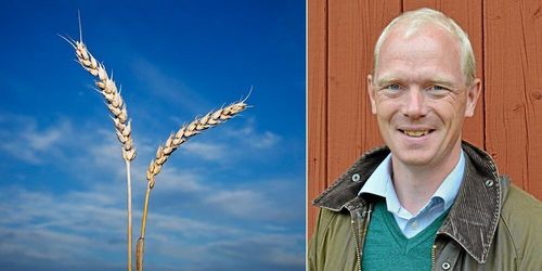 ”Slå vakt om den svenska modellen”