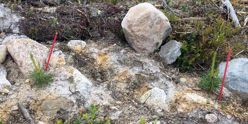 Planerar att bygga ut efter gödselsuccé