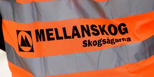 Mellanskog föreslår utdelning på 26 miljoner kronor
