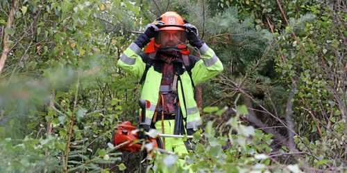 ”Lönen sjunker när du växlar till zloty”