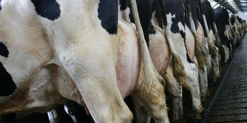 Krönikan i ATL väcker reaktioner