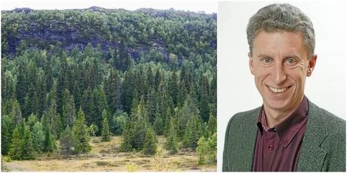 Svar direkt: Skogsägare gynnas av gratis data